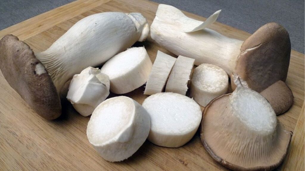 Dấu hiệu nhận biết nấm đùi gà tươi ngon khi chọn mua